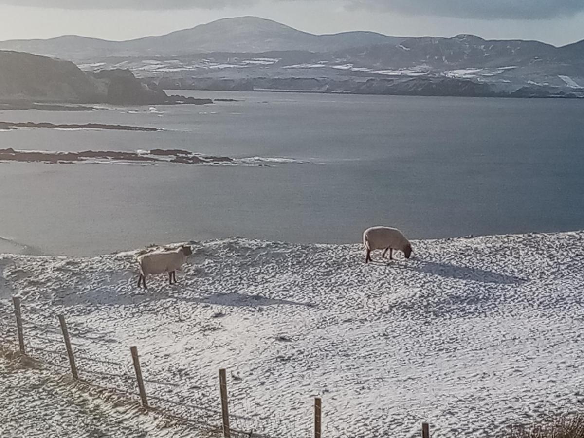 B&B The Red Door Cottage Donegal Town Buitenkant foto