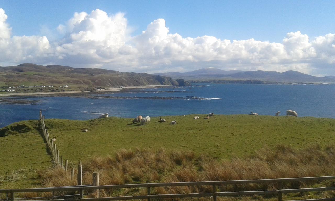 B&B The Red Door Cottage Donegal Town Buitenkant foto